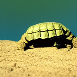 tortuga-0.png